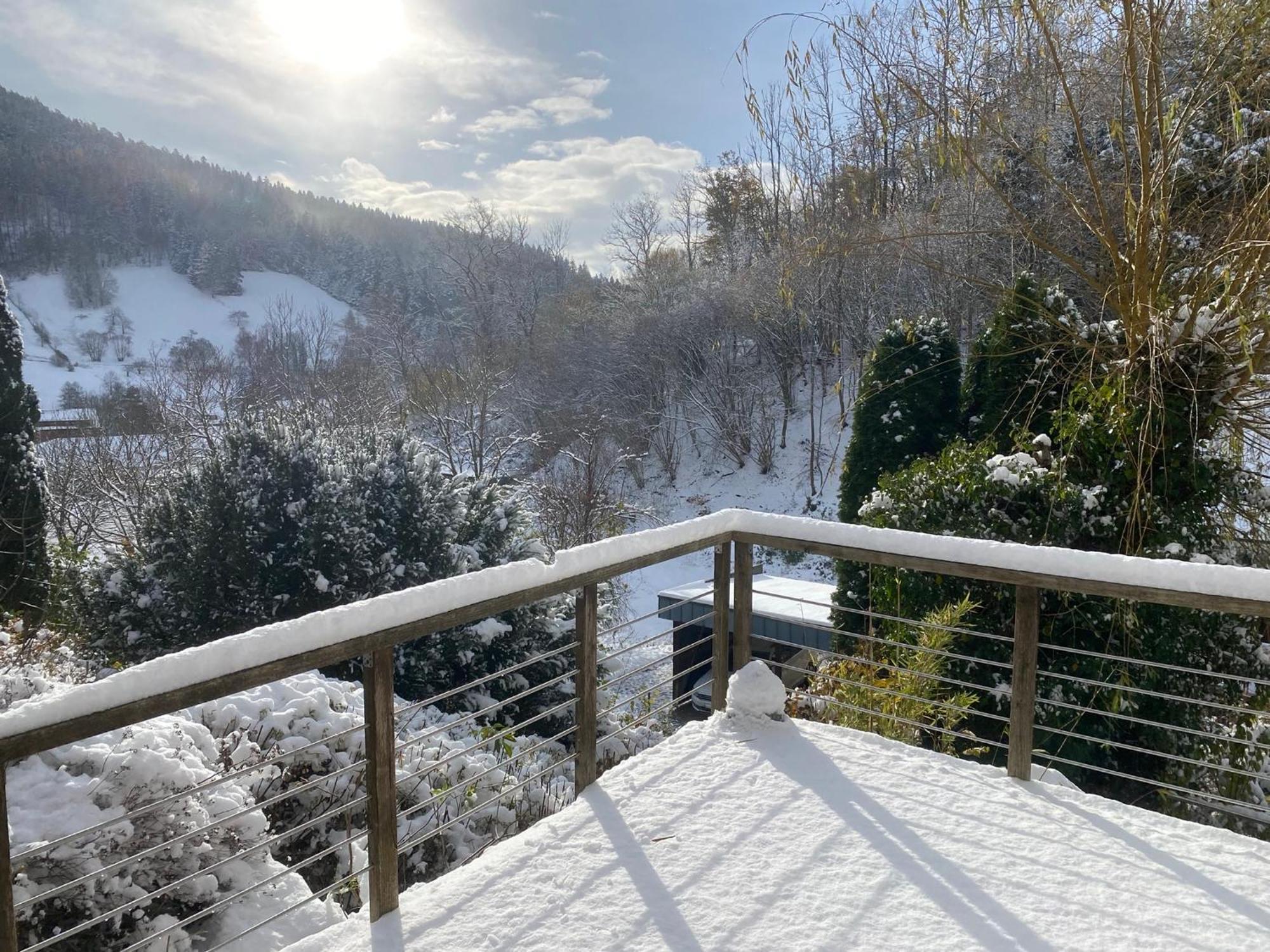 Le Bain Du Corbeau - Schwarzwald-villa *